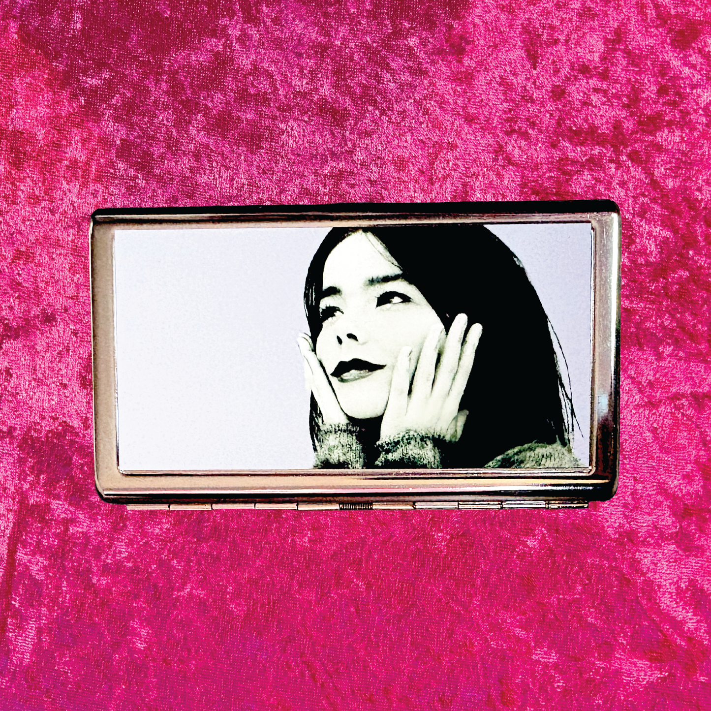 Bjork Metal Cigarette Case